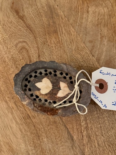 مذكرات يناير