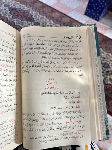 (من خاف أدلج، ومن أدلج بلغ المنزل…)