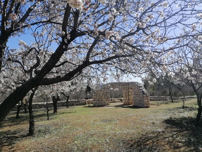 قصائد الربيع ١: ثلاثُ أغنياتٍ للحُطام