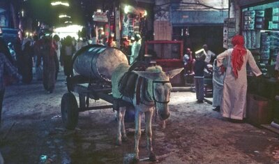 اختطاف المعنى: كيف تتحول الثقافة الشعبية إلى مسرح للنخب.