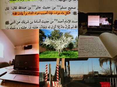 الأجواء هذه الأيام ( فبراير – 12 ابريل )