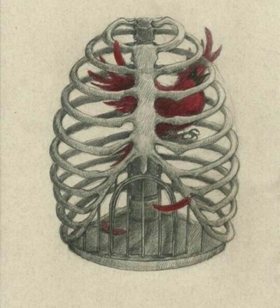 القلبُ الطائر